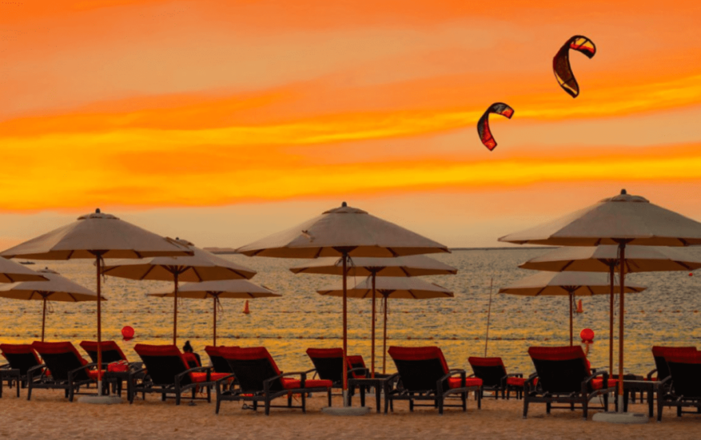 Dubai Islands Beach: The pet beach in Dubai that will welcome all your little friends